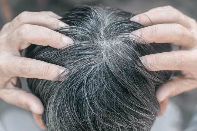 Visual rambut beruban