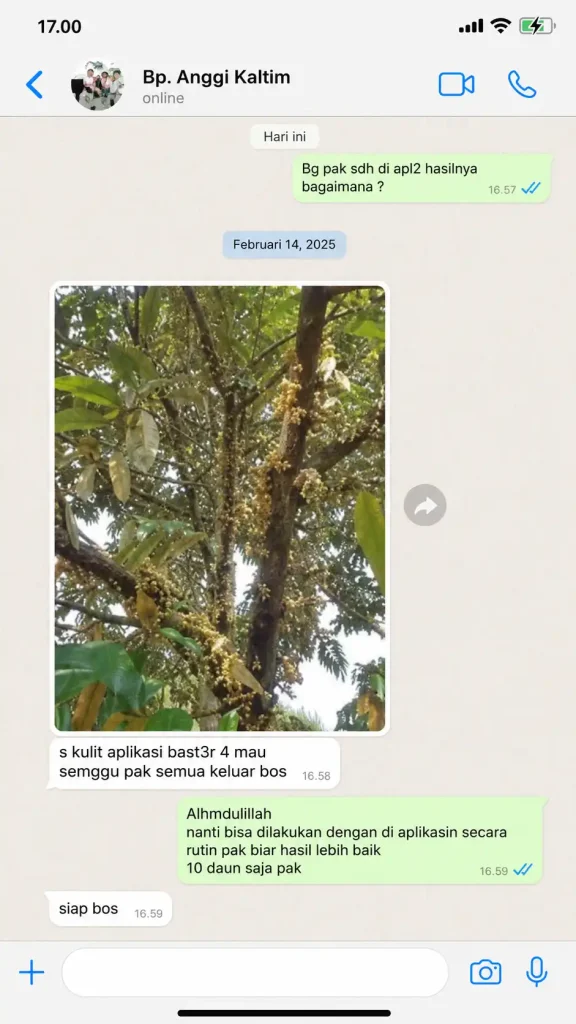 ChatGPT Image 17 Jul 2026, 14.59.13